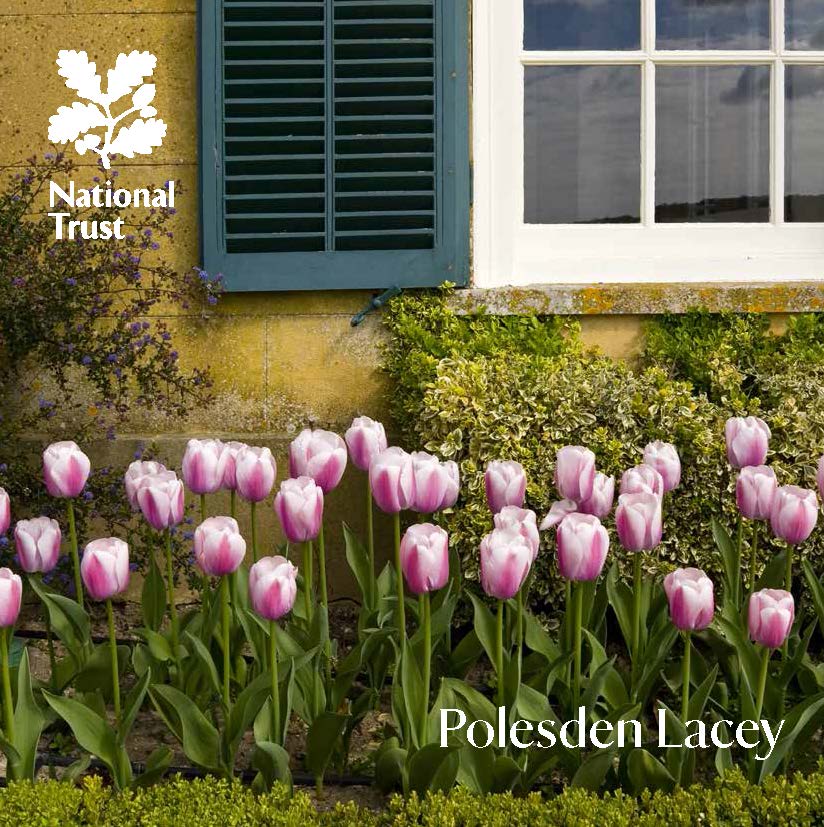 An image of National Trust Polesden Lacey Guidebook