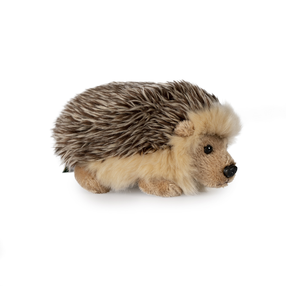 cuddly toy hedgehog