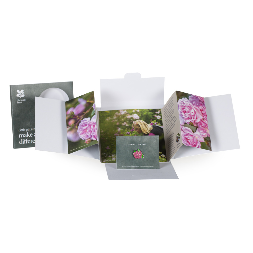 An image of Small Wonder Gift Pack, Garden Roses