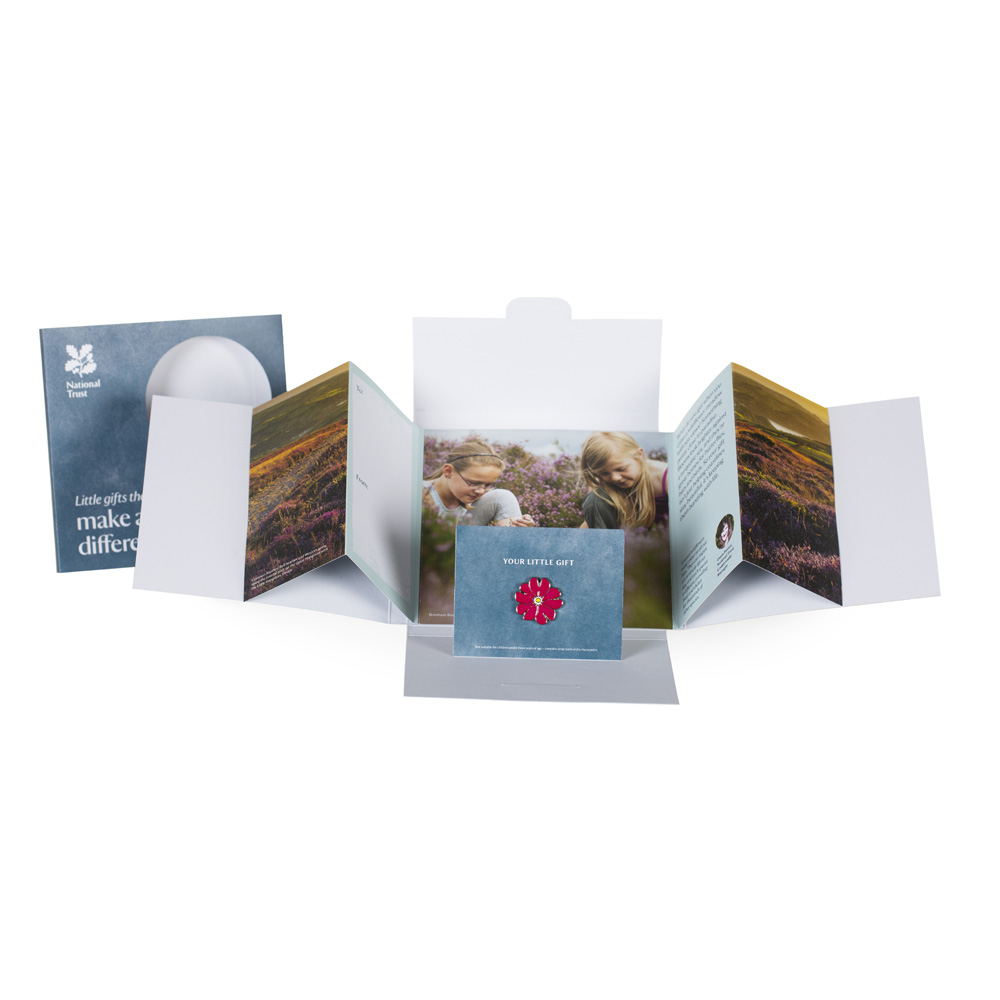 An image of Small Wonder Gift Pack, Coastal Wildflowers