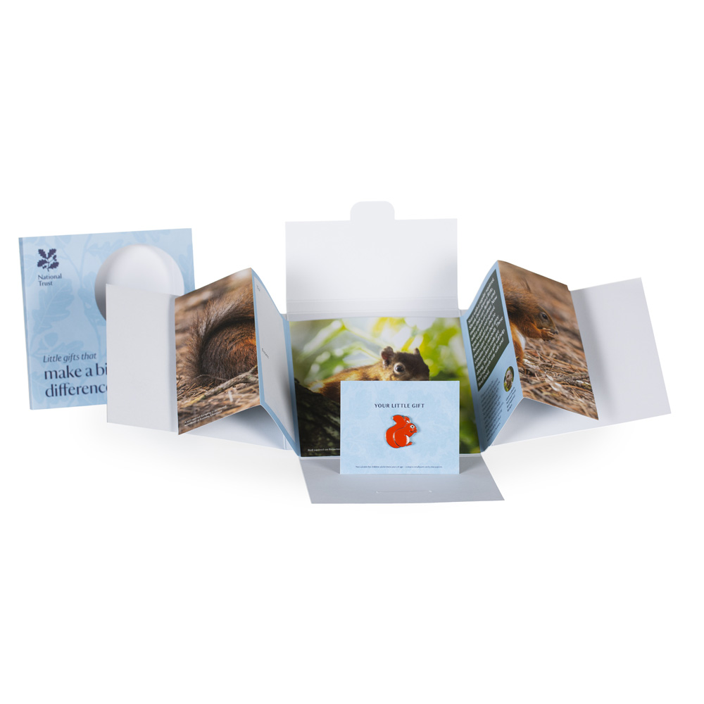 An image of Small Wonder Gift Pack, Red Squirrel