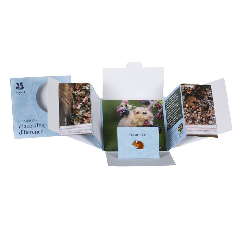 An image of Small Wonder Gift Pack, Dormouse