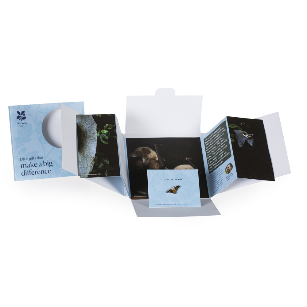 An image of Small Wonder Gift Pack, Long-Eared Bat