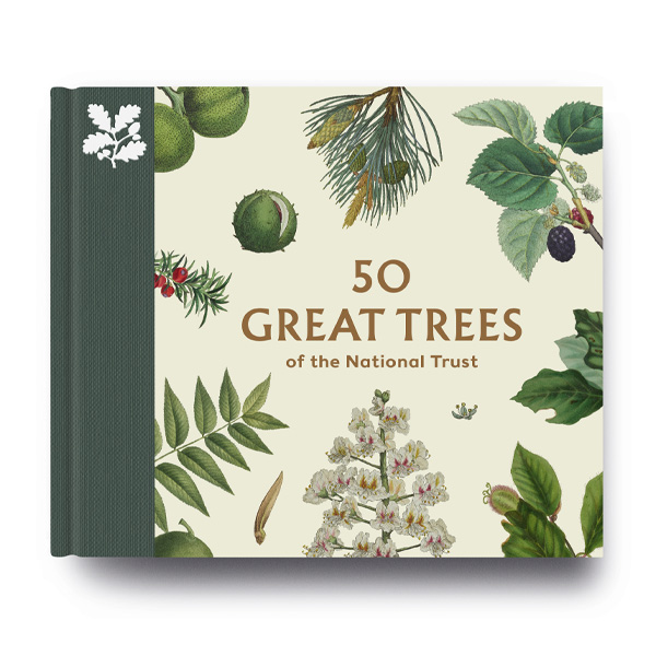 An image of 50 Great Trees of the National Trust