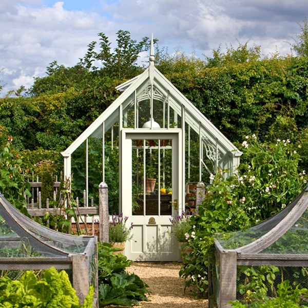 An image of National Trust Alitex Hidcote Greenhouse, Chalkhill Blue