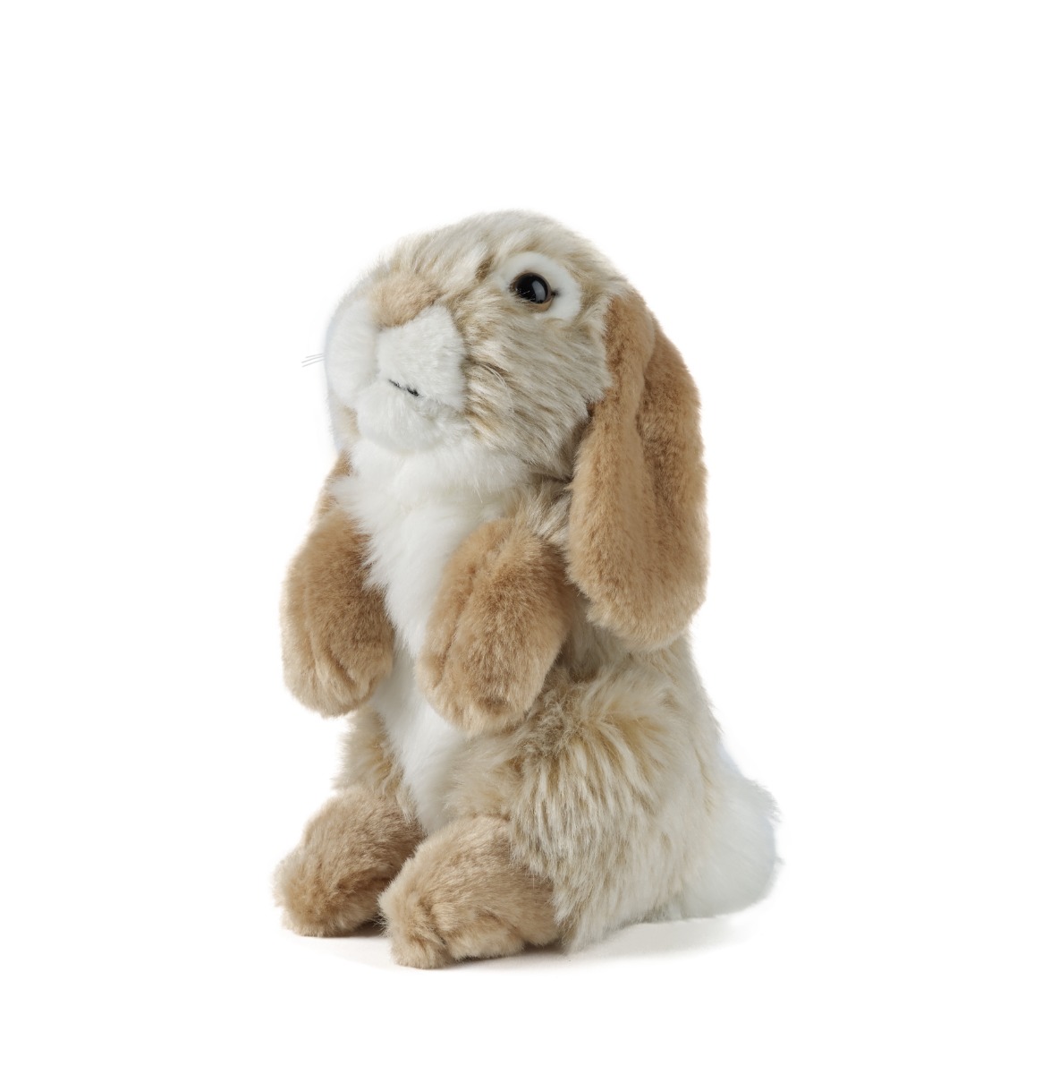 An image of Living Nature Brown Sitting Lop Eared Rabbit