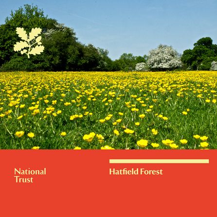 National Trust Hatfield Guidebook