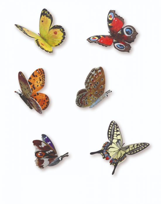 National Trust: Butterfly Skies, Press Out and Learn