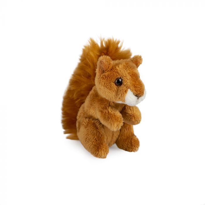 stuffed squirrel