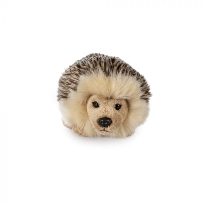 Hedgehog Soft Toy, Small 