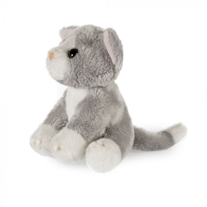 Small Cat Soft Toy, Assorted