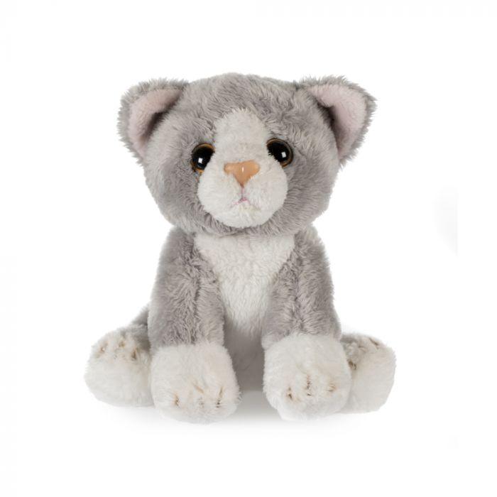 cat cuddly toy