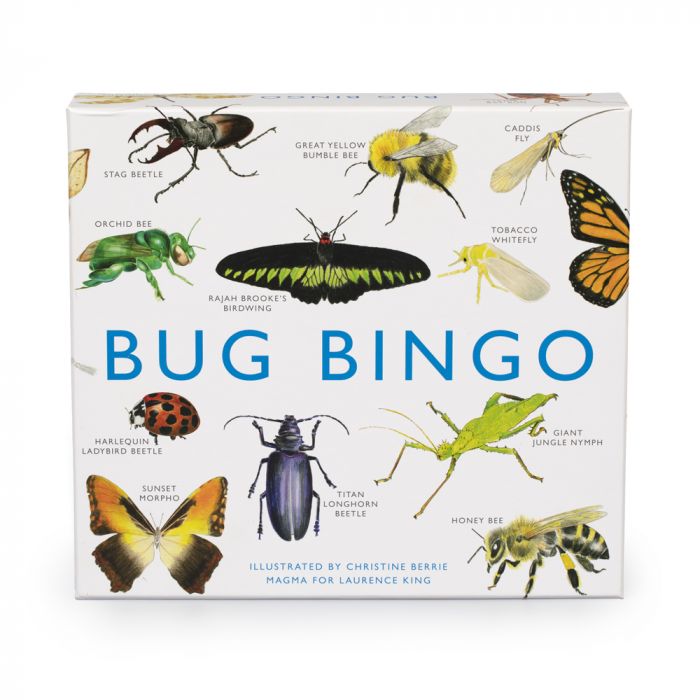 Bug Bingo Board Game