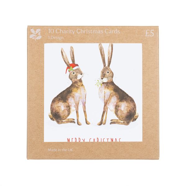 National Trust Duo of Hares Christmas Cards, Pack of 10