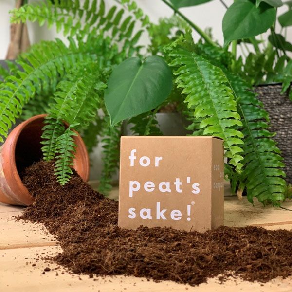 Peat Free Eco Coir Compost