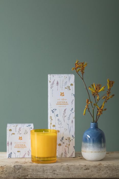 National Trust Boxed Candle, Wimpole Meadow Cotton Hydrangea