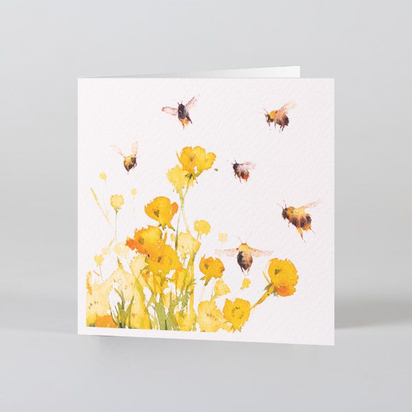 National Trust Kate Osbourne Bees And Wildflowers Notecards x20
