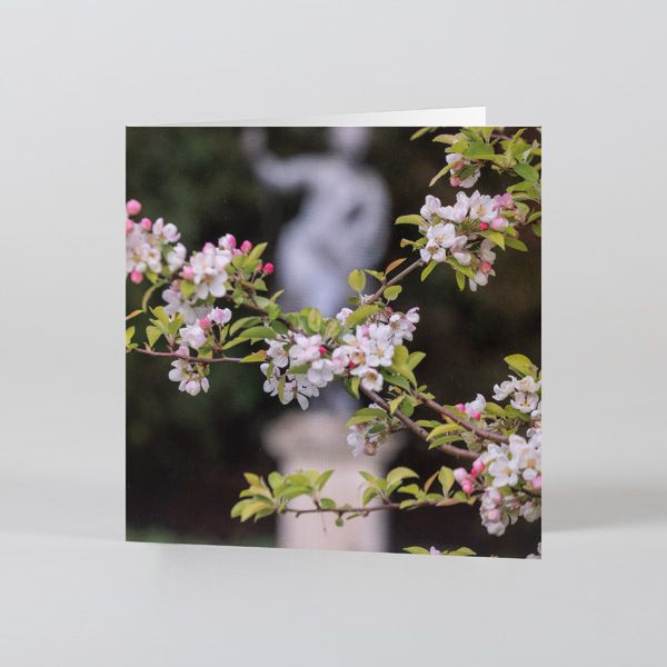 National Trust Floral Notecards x8