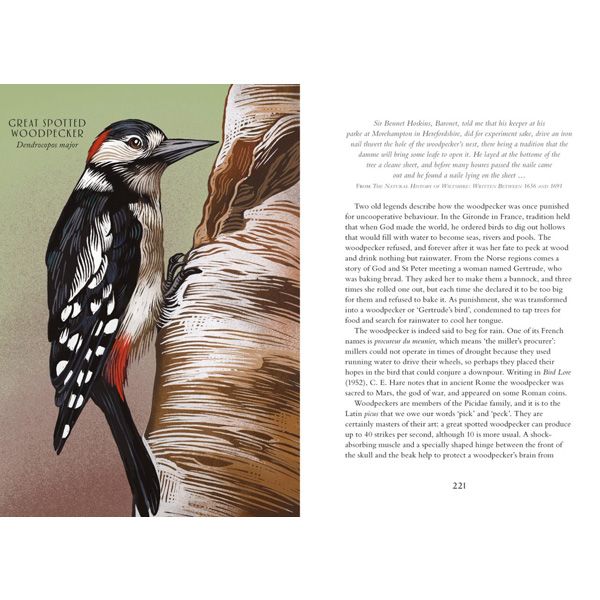 Britain’s Birds: A Treasury of Fact, Fiction and Folklore