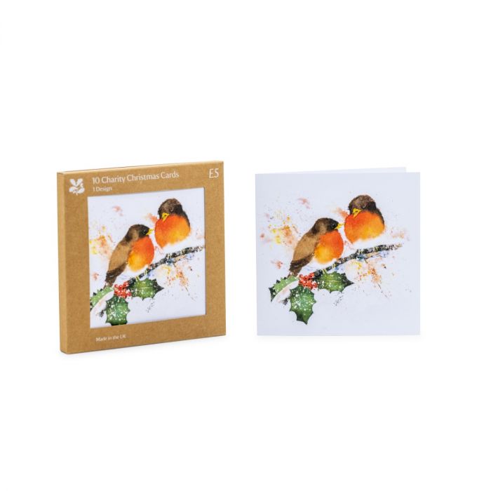 Winter Friends Christmas Cards, Box of 10