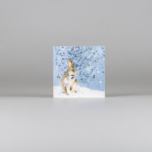 Christmas Card Value Pack, Pack of 30