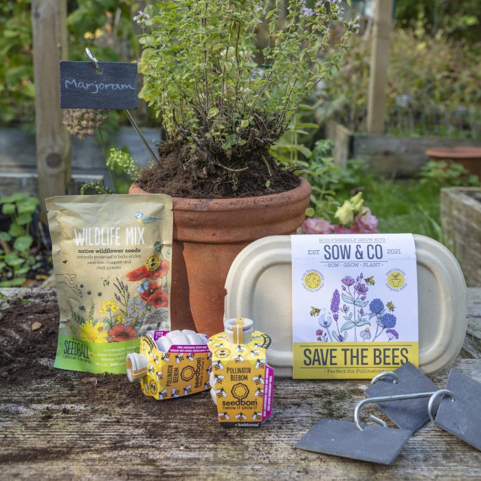 Save the Bees Kit