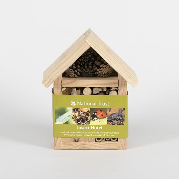 National Trust Foraged Insect House