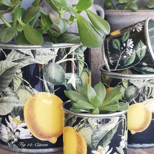 Tin Planter Vintage Lemons, Set of 4