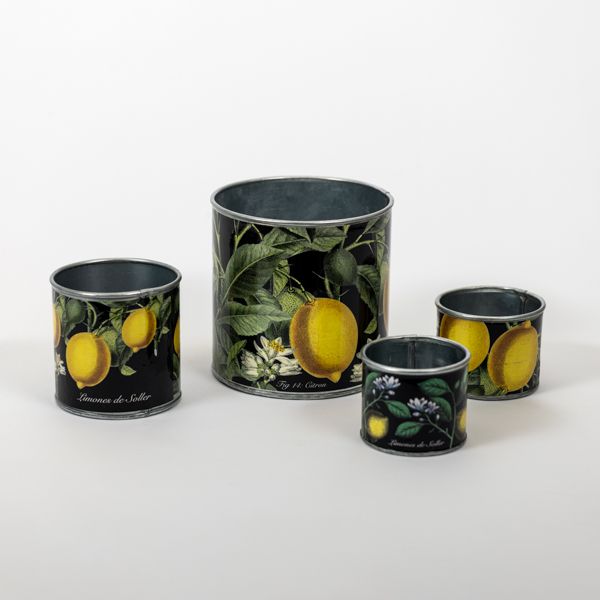 Tin Planter Vintage Lemons, Set of 4