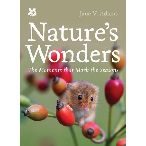 Nature’s Wonders: The Moments that Mark the Seasons