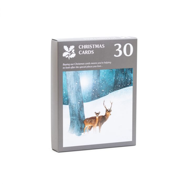 National Trust Value Pack Illustrated Christmas Cards, Box of 30