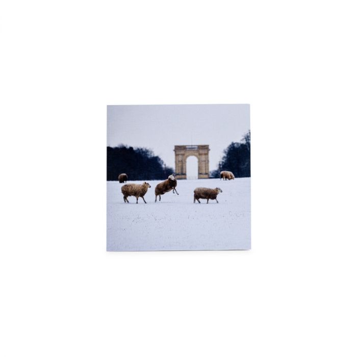 National Trust Value Pack Photographic Christmas Cards, Box of 30