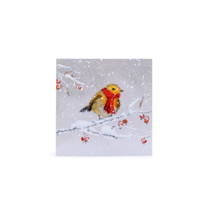 Chilly Robin Christmas Cards, Box of 10