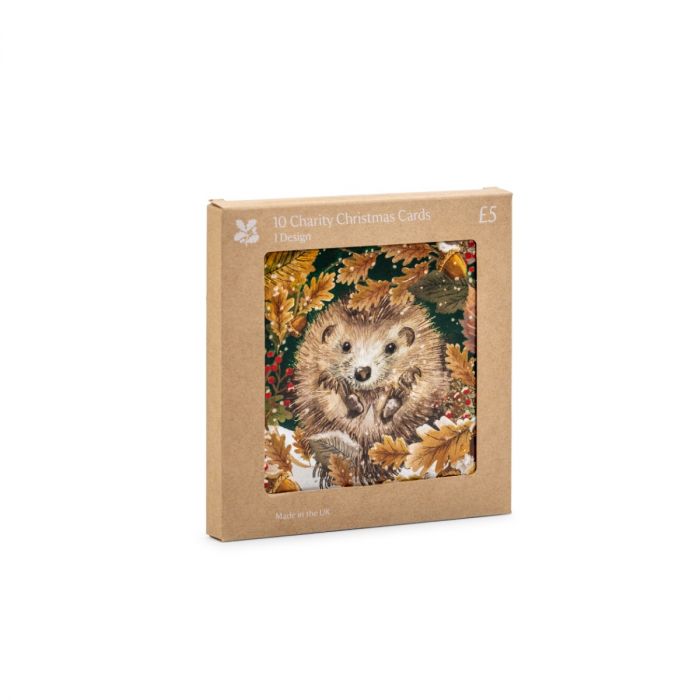 National Trust Cosy Hedgehog Christmas Cards, Box of 10