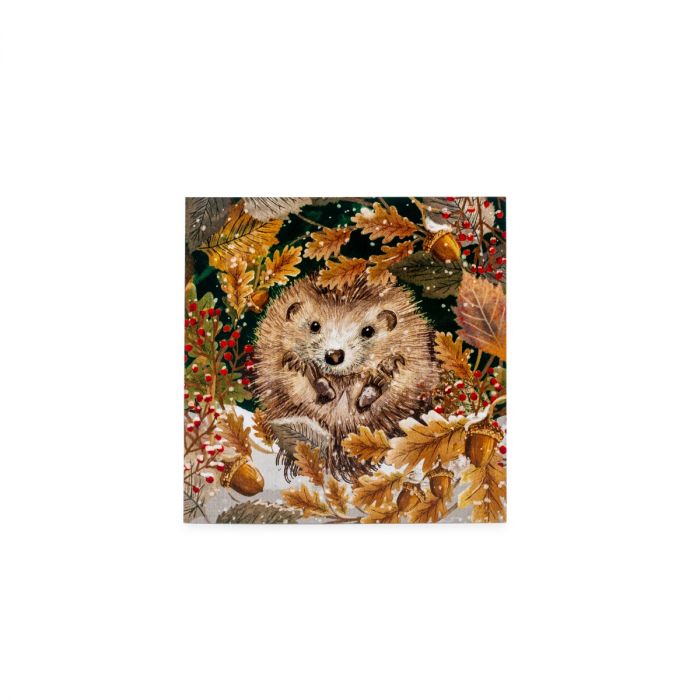 National Trust Cosy Hedgehog Christmas Cards, Box of 10