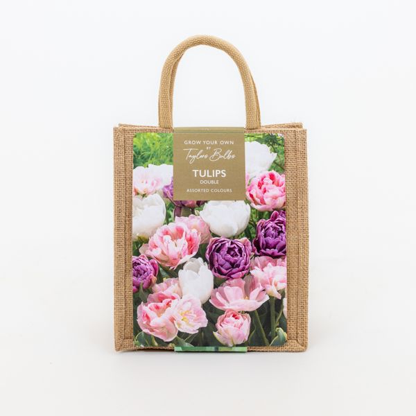 Tulip Double Mix Jute Gift Bag