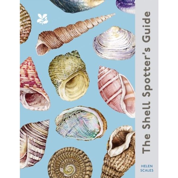 National Trust Shell Spotters Guide