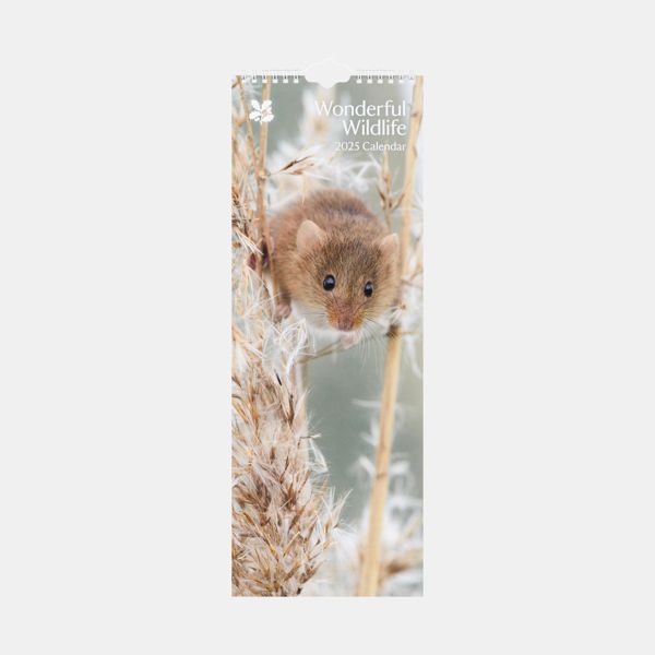 National Trust Wonderful Wildlife Photographic Slim Calendar 2025