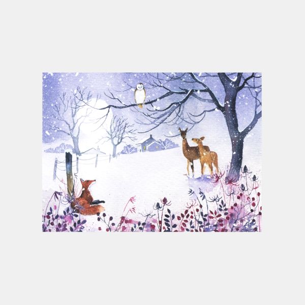 National Trust Illustrated Animals Christmas Cards Value Pack, Box of 30