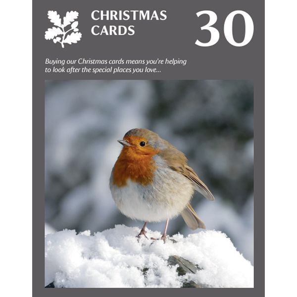 National Trust Photographic Christmas Cards Value Pack, Box of 30