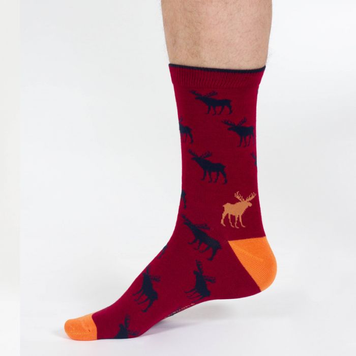 Thought Stag Bamboo Socks Gift Box