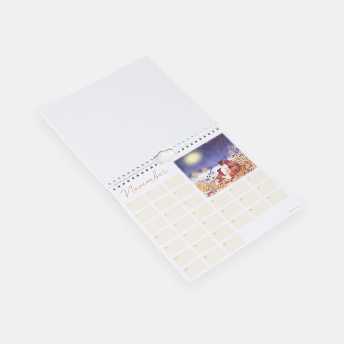 Birthdays and Special Occasions Calendar by Rachel McNaughton