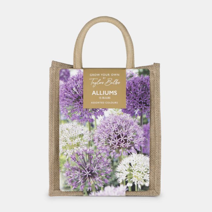 Jute Gift Bag, Alliums