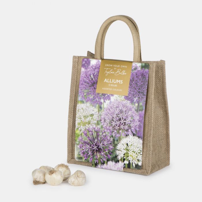 Jute Gift Bag, Alliums