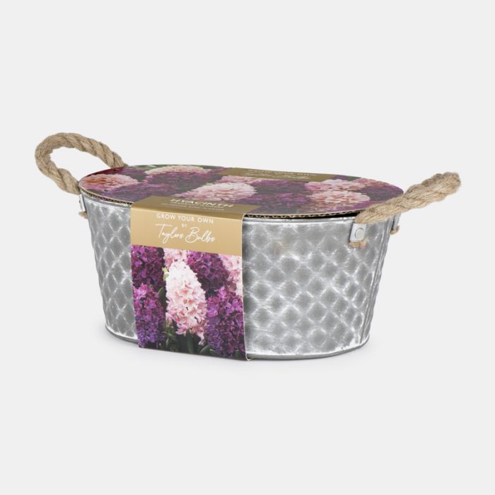 Outdoor Trough Planter, Hyacinth