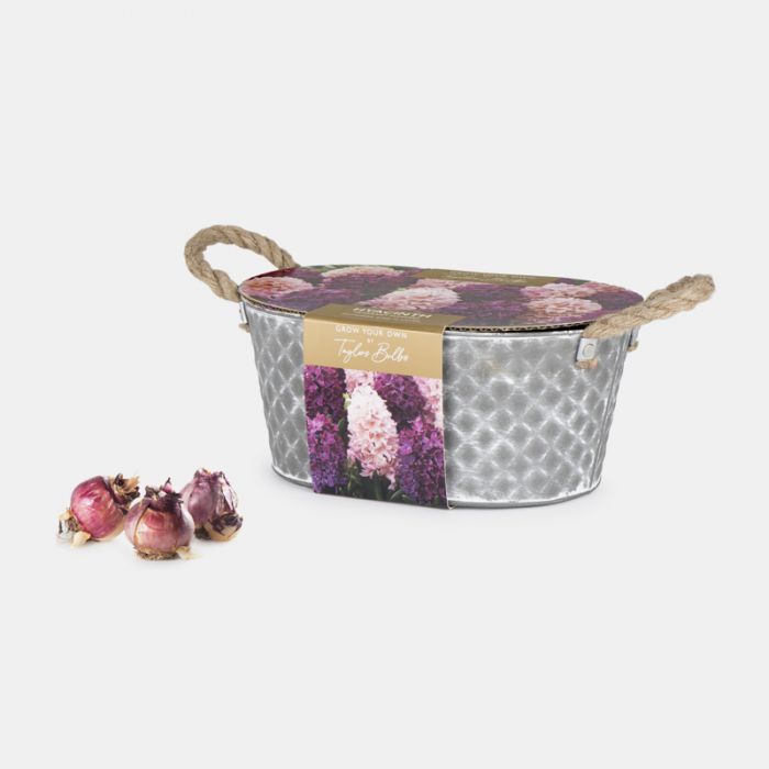 Outdoor Trough Planter, Hyacinth