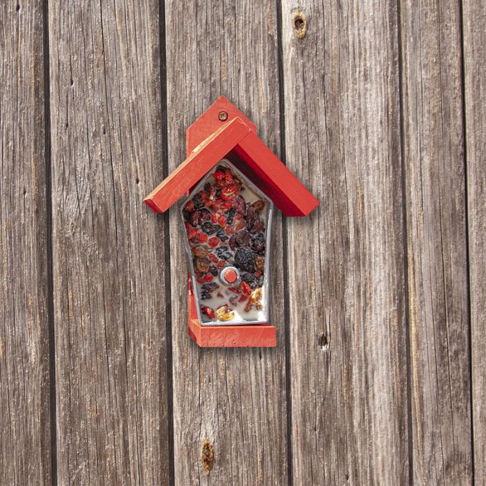 DIY Birdie Bistro, Red