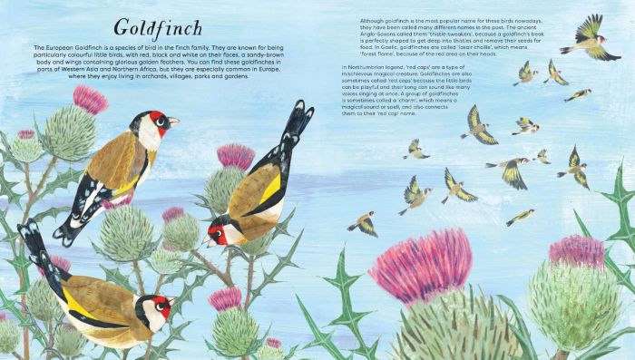 National Trust Birds of a Feather, Press out and learn about 10 beautiful birds