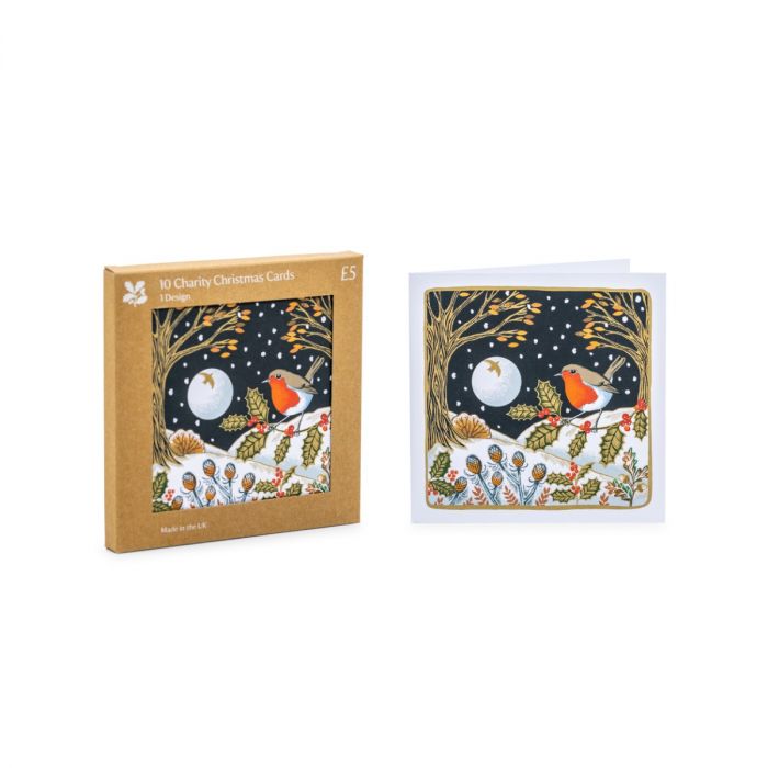 Winter Robin Christmas Cards, Box of 10