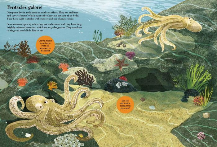 National Trust Nature Sticker Book: Sharks, Seahorses and other British Sea Creatures